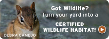 certify your yard today!
